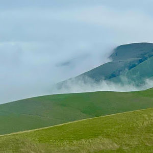 Meet your Posher, Adrian